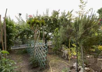 Giardino - Independent house Via Pintura del braccio
 
62, Recanati - photo 43