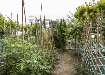 Giardino - Independent house Via Pintura del braccio
 
62, Recanati - photo 44