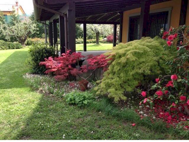 Giardino - Villa Via Lizzano
303, Cesena - photo 2