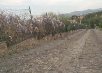 Vista delle montagne - Villa Via Lizzano
303, Cesena - photo 9