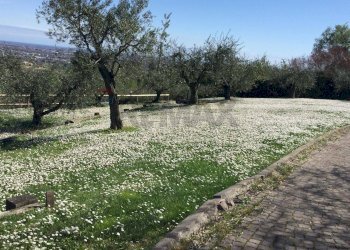 Giardino - Villa Via Lizzano
303, Cesena - photo 12