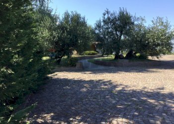 Giardino - Villa Via Lizzano
303, Cesena - photo 15