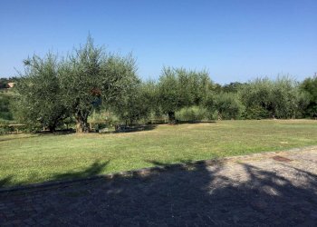 Giardino - Villa Via Lizzano
303, Cesena - photo 20