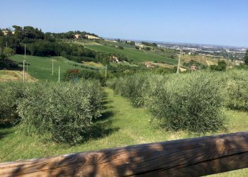 Vista delle montagne - Villa Via Lizzano
303, Cesena - photo 22