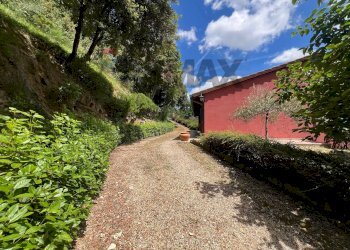 Giardino - Villa Via Cinque Cerri
 
92, Bettona - foto 57