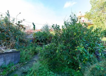 Giardino - Quadrilocale VIa Roma
 
11, San Pietro Clarenza - foto 36
