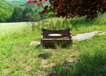Giardino - Castello Piano soprano
 
33, Bormida - foto 20