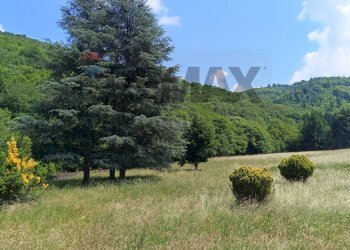 Vista delle montagne - Castello Piano soprano
 
33, Bormida - foto 22
