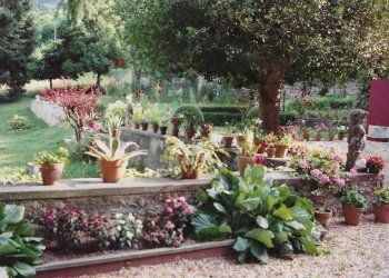 Giardino - Castello Piano soprano
 
33, Bormida - foto 26