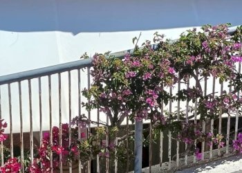 Balcone - Quadrilocale Via Alessandro Manzoni
 
214, Napoli - foto 12