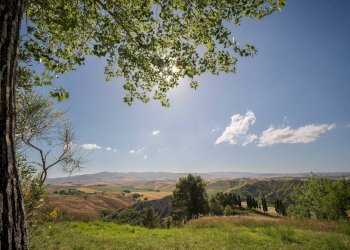 Foto 4 - Villa Volterra - photo 4