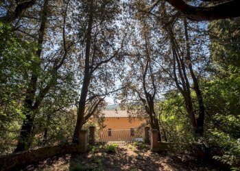 Foto 43 - Villa Volterra - foto 43