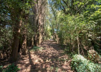 Foto 45 - Villa Volterra - foto 45