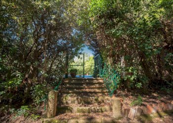 Foto 46 - Villa Volterra - foto 46