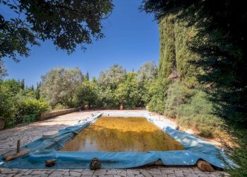 Foto 47 - Villa Volterra - foto 47