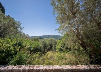 Foto 48 - Villa Volterra - foto 48