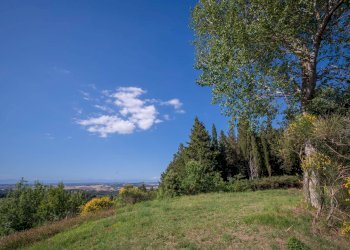 Foto 50 - Villa Volterra - foto 50