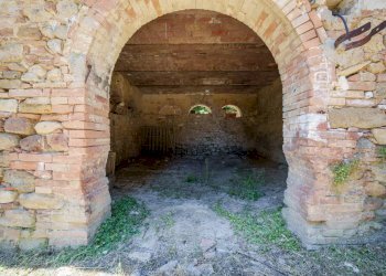 Foto 84 - Villa Volterra - foto 84