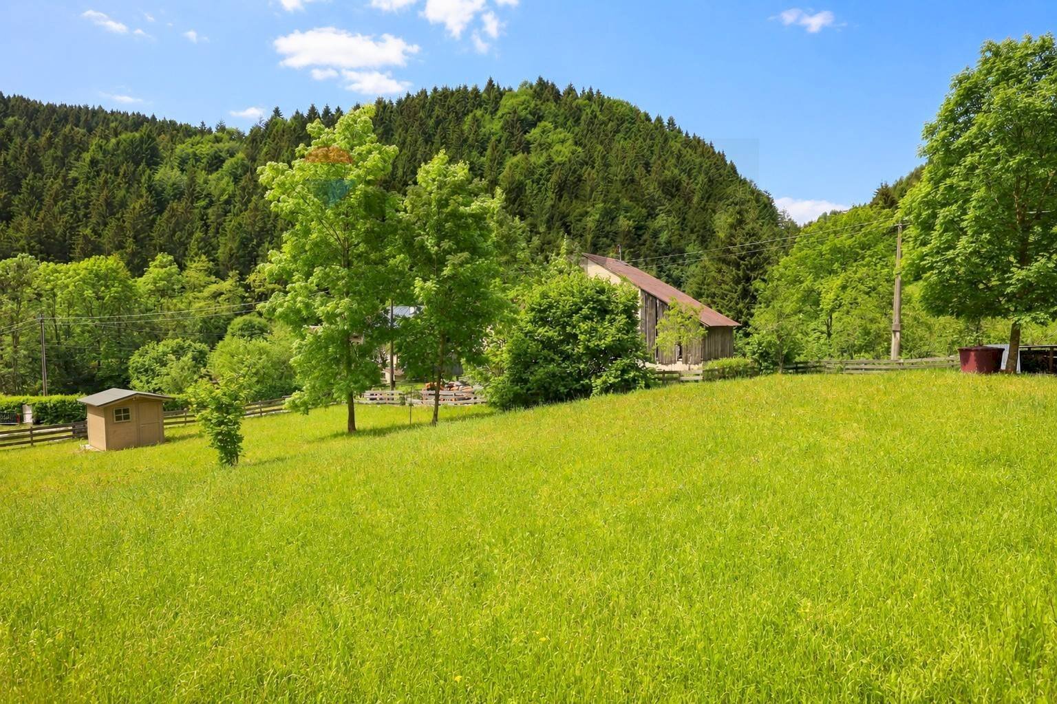 Giardino - Villa RONCHI
48, Gallio - foto 3