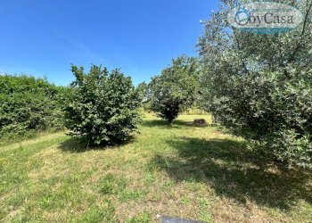Foto 57 - Casa indipendente STRADA SAN JANNI
4, Oriolo Romano - foto 57