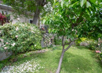 Giardino - Independent house Via Girone
 
10, Pretoro - photo 38