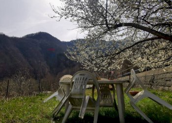 Vista delle montagne - Apartment Località Bavastri
 
116, Torriglia - photo 6