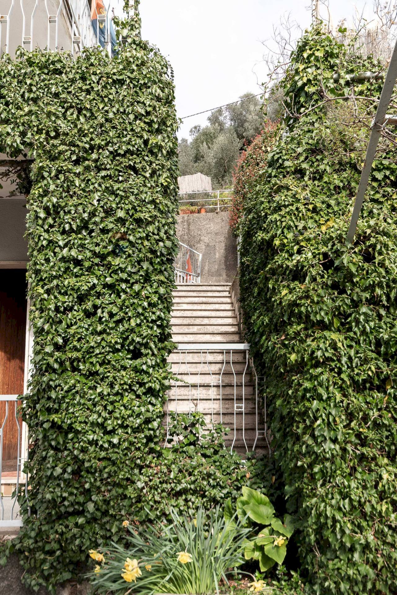 Giardino - Casa semi indipendente Via Delle Rovere
26, Avegno - foto 3