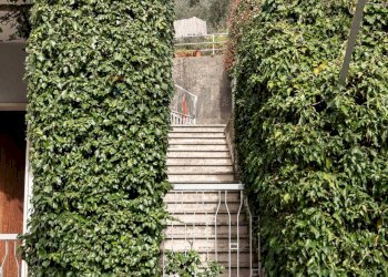 Giardino - Casa semi indipendente Via Delle Rovere
 
26, Avegno - foto 3