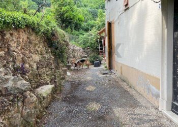 Casa all\'aperto - Casa semi indipendente Salita Olivaro
 
7, Genova - foto 30