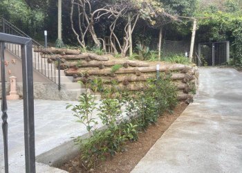 Giardino - Casa semi indipendente Salita Olivaro
 
7, Genova - foto 32