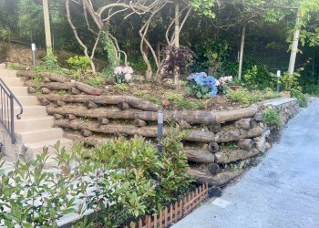 Giardino - Casa semi indipendente Salita Olivaro
 
7, Genova - foto 33