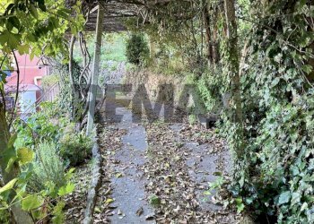 Giardino - Semi-detached house Salita Olivaro
 
7, Genova - photo 34