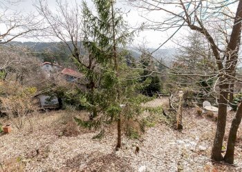 Giardino - Casa indipendente Strada Provinciale la Brentina
 
210, Ponzone - foto 10