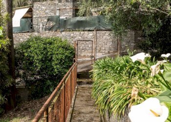 Giardino - Villa VIA CAMPORINO, Rapallo - photo 45