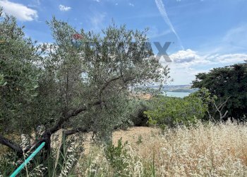 Non correlato - Casa indipendente c.da Difesa dei Bovi
 
SNC, Guardialfiera - foto 19