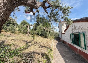 Giardino - Casa indipendente c.da Difesa dei Bovi
 
SNC, Guardialfiera - foto 26