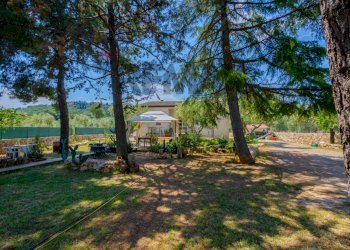Giardino - Villa Via della Riconciliazione dei Cristiani
 
--, Cassano delle Murge - foto 34