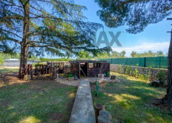 Giardino - Villa Via della Riconciliazione dei Cristiani
 
--, Cassano delle Murge - foto 35