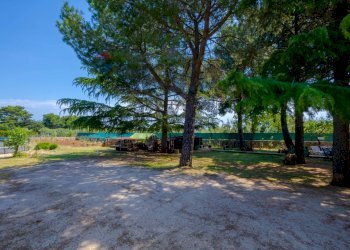 Giardino - Villa Via della Riconciliazione dei Cristiani
 
--, Cassano delle Murge - foto 37