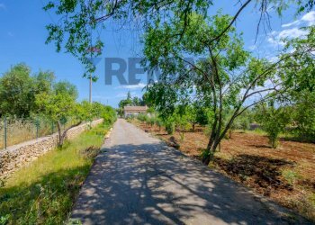 Giardino - Villa Via della Riconciliazione dei Cristiani
 
--, Cassano delle Murge - foto 42