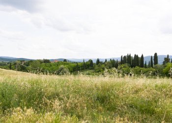 Foto 9 - Apartment Via Poggio Perini
 
3, Sovicille - photo 9