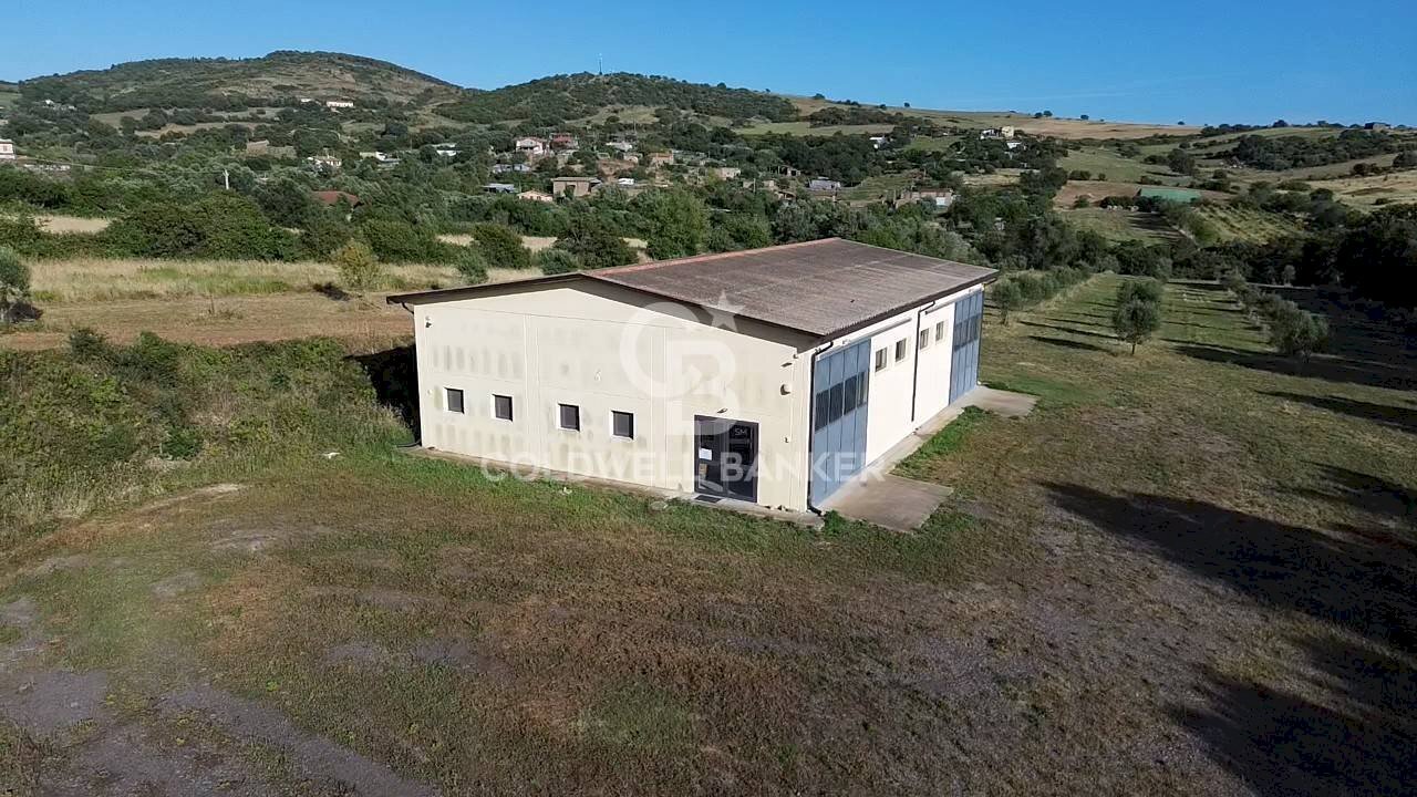 Foto 2 - Shed Località Poggio Barone, Monte Romano - photo 2