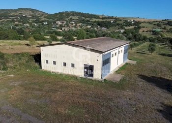 Foto 2 - Capannone Località Poggio Barone, Monte Romano - foto 2
