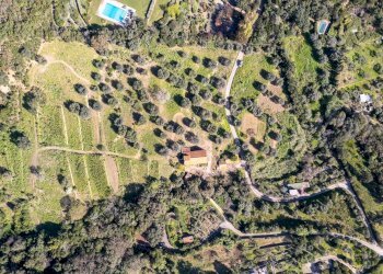 Foto 1 - Rustic via dei molini, Monte Argentario - photo 1