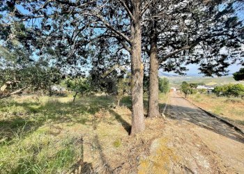 Foto 39 - Villa Contrada Gagliardetta, Castellammare del Golfo - foto 39