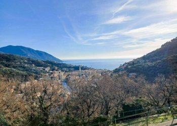 Vista - Villa via dell'Alloro, Recco - foto 8