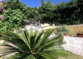 Giardino - Villa via dei Mughetti, 84, frazione Lido Dei Pini, Anzio - foto 8