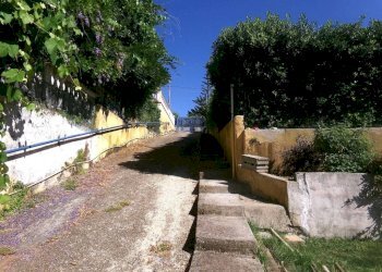 Terreno - Villa via dei Mughetti, 84, frazione Lido Dei Pini, Anzio - foto 9