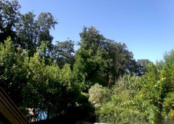 Vista - Villa via dei Mughetti, 84, frazione Lido Dei Pini, Anzio - foto 47