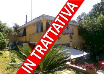 Giardino - Villa via dei Mughetti, 84, frazione Lido Dei Pini, Anzio - foto 1